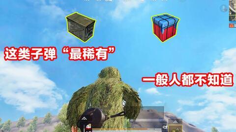 吃鸡爆料侠客视频下载,独家视频下载攻略全解析  第3张